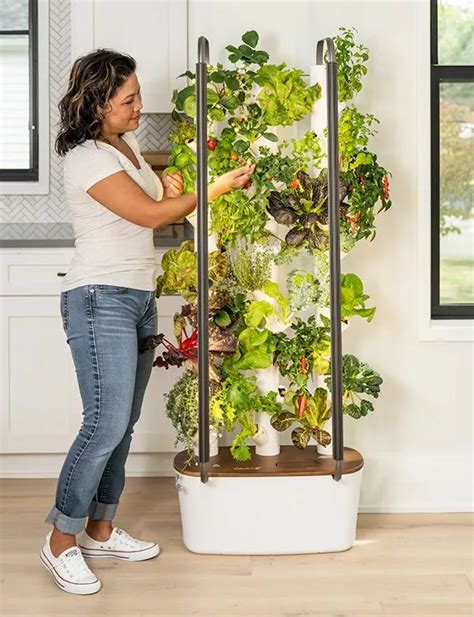 Top 5 Indoor Hydroponics For City Gardeners: Expert Picks