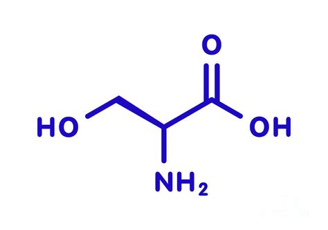 Serine Amino Acid Molecule Photograph by Molekuul/science Photo Library ...