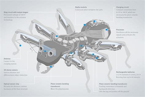 Designing robots with bugs?? - Robohub