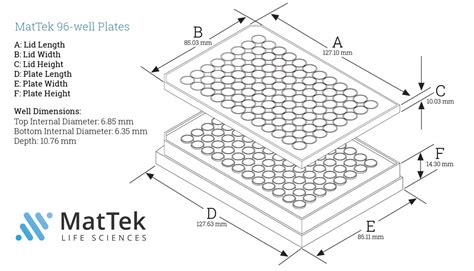 96 Well Plate Size - Printable Online