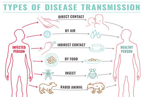 Disease Transmission | Hot Sex Picture