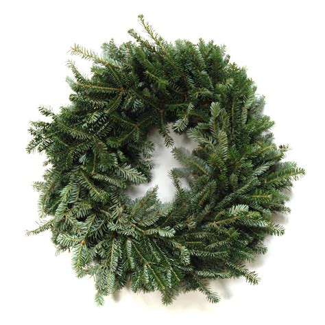 Fraser Fir Wreath - Davenport Garden Centre