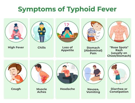 Understanding Typhoid Fever Symptoms, Recovery, and Dietary Guidelines ...