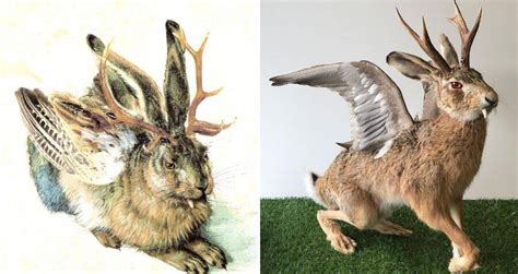 Meet the Wolpertinger, the half-rabbit, half-deer creature that ...