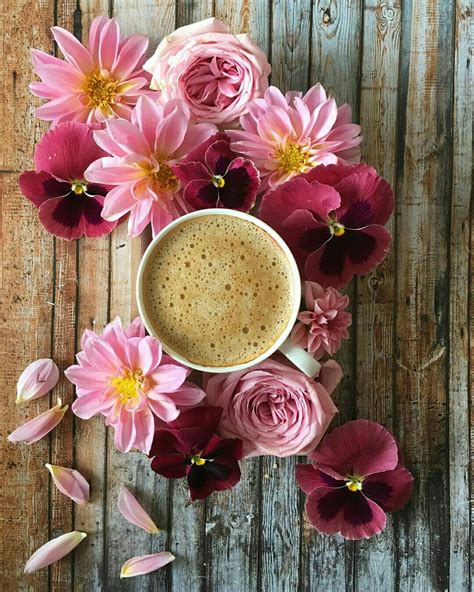 Pin by Doktorica on Coffee and secrets | Coffee flower, Good morning ...