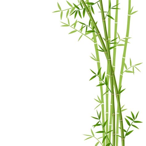 Bamboo, vector (mesh) Stock Vector Image by ©Tolchik #21350687