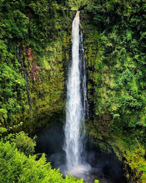 7 Best Hawaii Waterfalls to Visit | Hawaii Travel with Kids (2023)