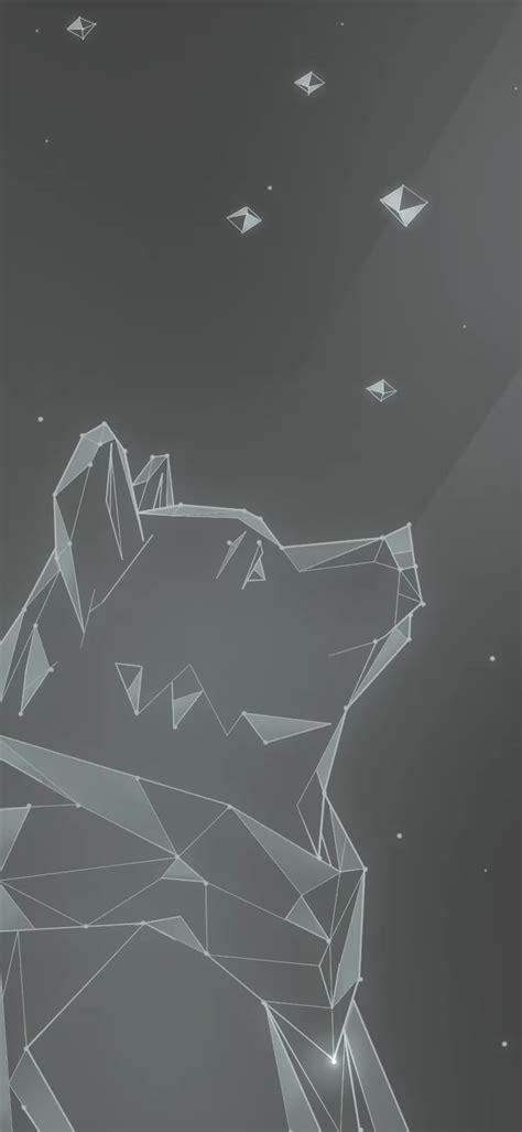 Black And White Bear Wallpapers - Wallpaper Cave