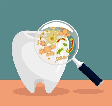 Are Cavities Contagious? : Tompkins Dental: General Dentistry