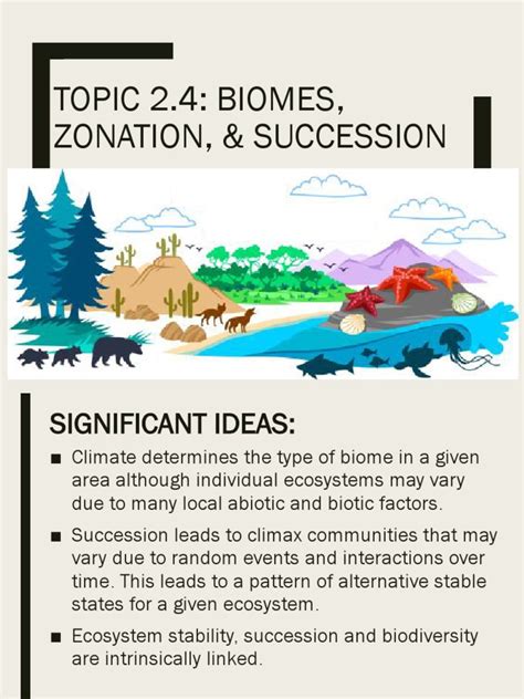 Biomes Zonation and Succession | PDF | Ecosystem | Primary Production