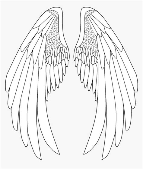 the outline of an angel's wings on a white background