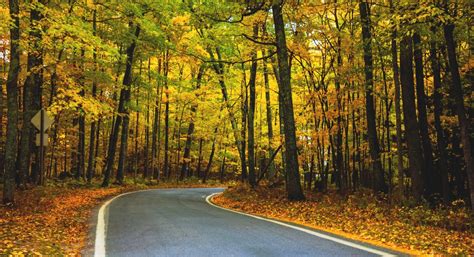 Michigan's Top 5 Fall Foliage Scenic Drives