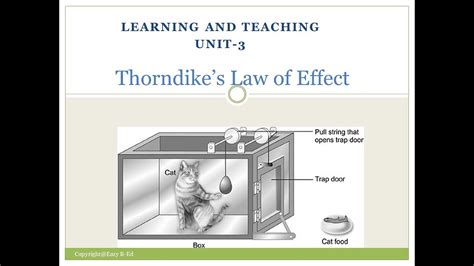 Thorndike Law Of Effect / Thorndike's Law of Effect - Trial and Error ...