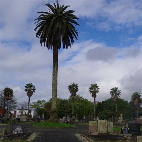 Otahuhu Cemetery - All You Need to Know BEFORE You Go