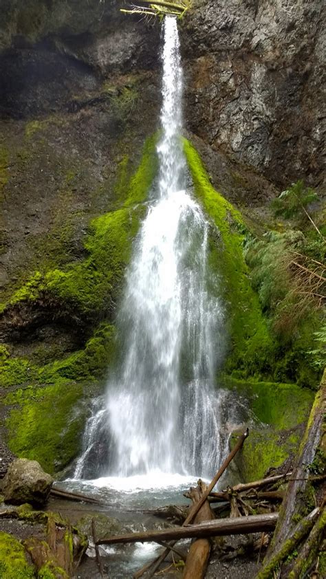 5 Best Olympic National Park Waterfalls - Ordinary Adventures