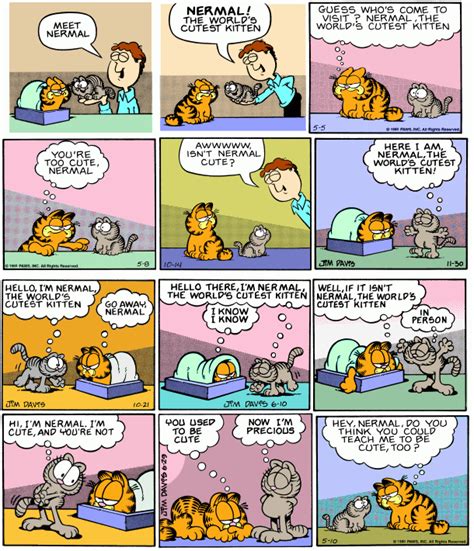 Square Root of Minus Garfield | Garfield comics, Comic strips, Garfield