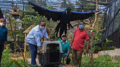 Guwahati zoo becomes home for rescued exotic animals - The Hindu