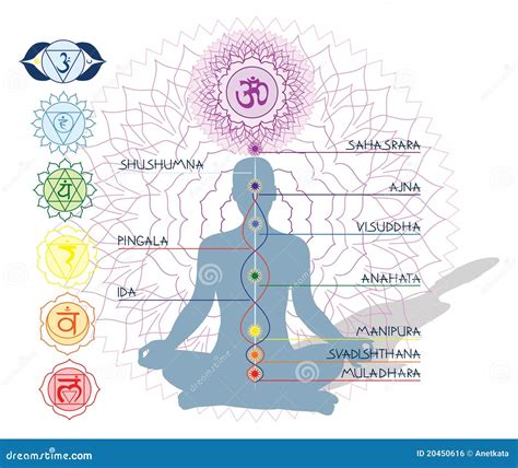 7 Chakras, Ida And Pingala Royalty Free Stock Image - Image: 20450616