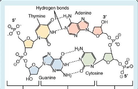 Chemical composition of the building block and constituting elements of ...