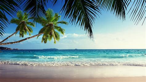 HD wallpaper: shoreline wallpaper, landscape, beach, tropical, Sun, sea ...