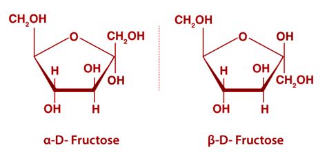 Fructose Chain Structure