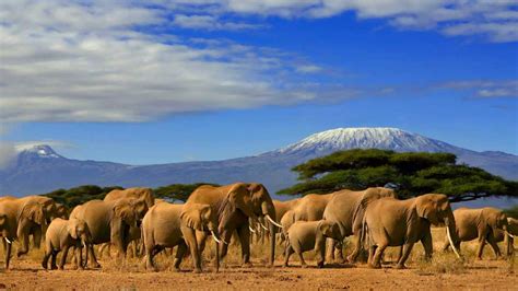 Kenya Trips & Tours, Tailor-Made | Tourlane