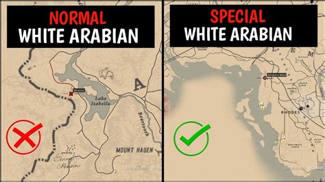 One & Only Special White Arabian Horse That 99% Players Missed - RDR2 ...