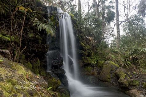 Found! Waterfalls in a Secret Natural Paradise in Florida ...