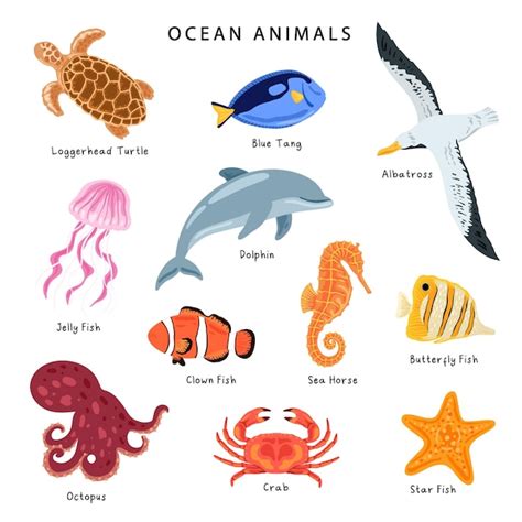 Seashore Animals Name