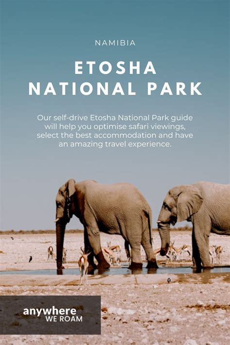 Complete guide to etosha national park map – Artofit