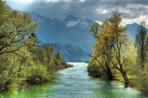 Free photo: River and trees - Forest, Green, Landscape - Free Download ...