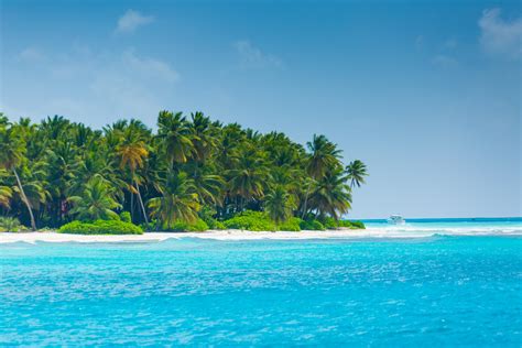 Saona Island Free Stock Photo - Public Domain Pictures