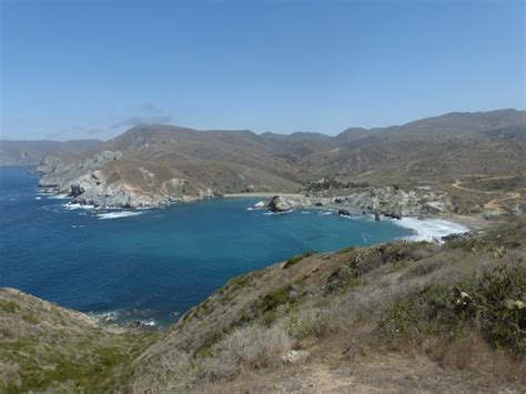 Catalina Island: Island ecology and restoration – Conservation Sense ...