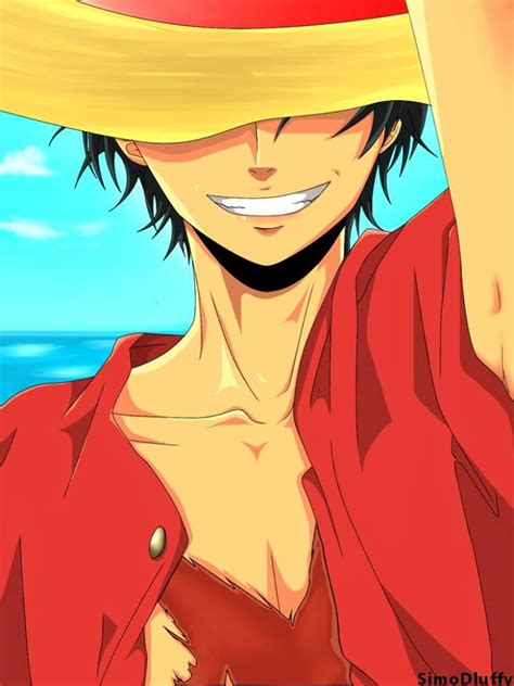 One Piece Monkey D. Luffy | Luffy, he will be the king of pirates ...