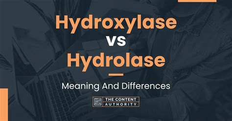 Hydroxylase vs Hydrolase: Meaning And Differences