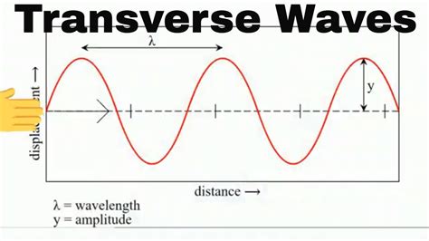 Amplitude Of A Transverse Wave