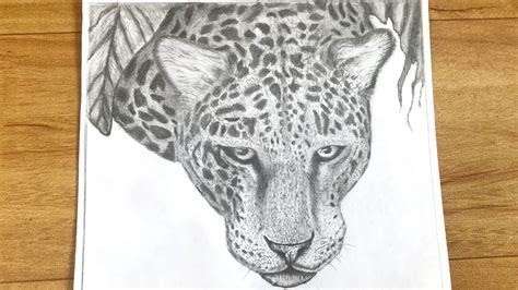 How to draw a jaguar face | How to draw a jaguar | How to draw a jaguar ...