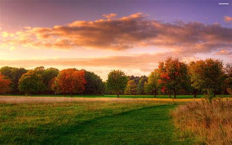 Free photo: Grass Field and Trees during Sunset - Beautiful, Light ...