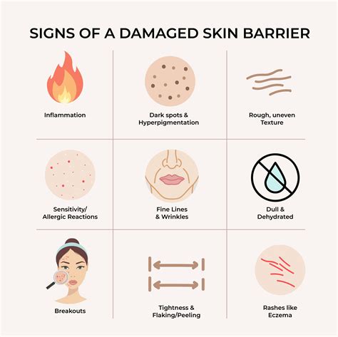 How Does Our Skin Help Us? - Simply Health & Wellness