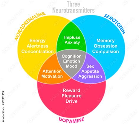 Vettoriale Stock Three neurotransmitters, dopamine, serotonin ...