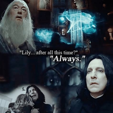 Snape Always Book