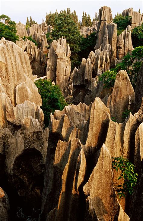 Limestone Karst Formations In Stone Photograph by Richard I'anson - Pixels