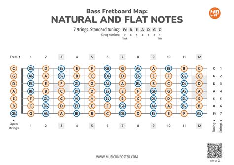 7-String Bass Guitar PDF Fretboard Map With All Notes