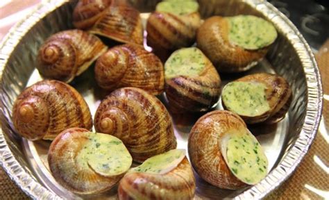 Edible Snails: How to Find, Prepare and Eat Them