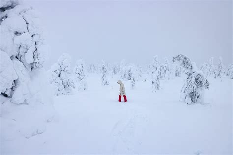 Ultimate Guide to Rovaniemi, Finland in Winter | Lapland Travel