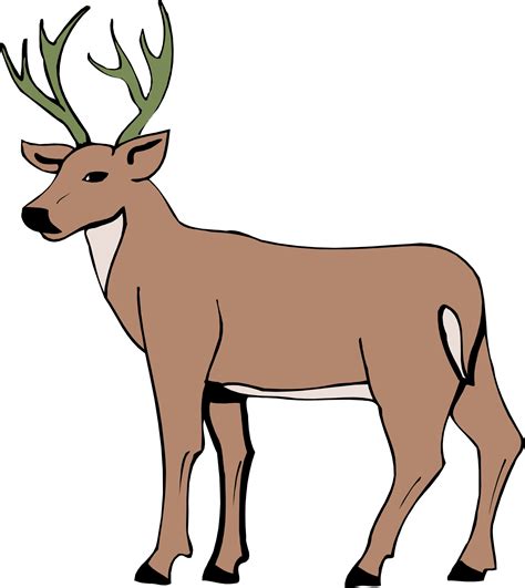 Deer Drawing Cartoon at GetDrawings | Free download