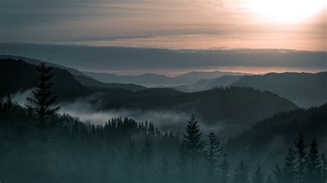 green trees #nature #landscape #trees #forest pine trees #mountains # ...