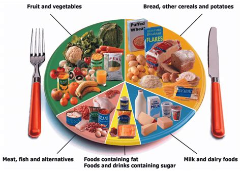 Food plate showing the types and amount of food groups for a healthy ...