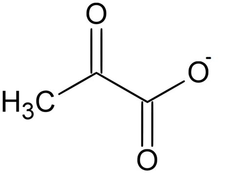 Difference Between Pyruvate and Pyruvic Acid | Definition, Chemical ...