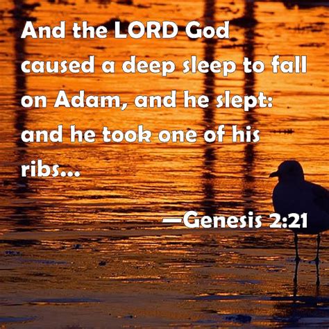 Genesis 2:21 And the LORD God caused a deep sleep to fall on Adam, and ...